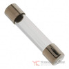 0312008.MXP Image