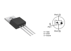 Irlz44n mosfet datasheet, huringa, rite, pinout