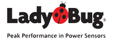 LadyBug Technologies LLC