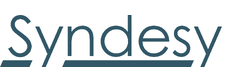 Syndesy Technologies, Inc. 
